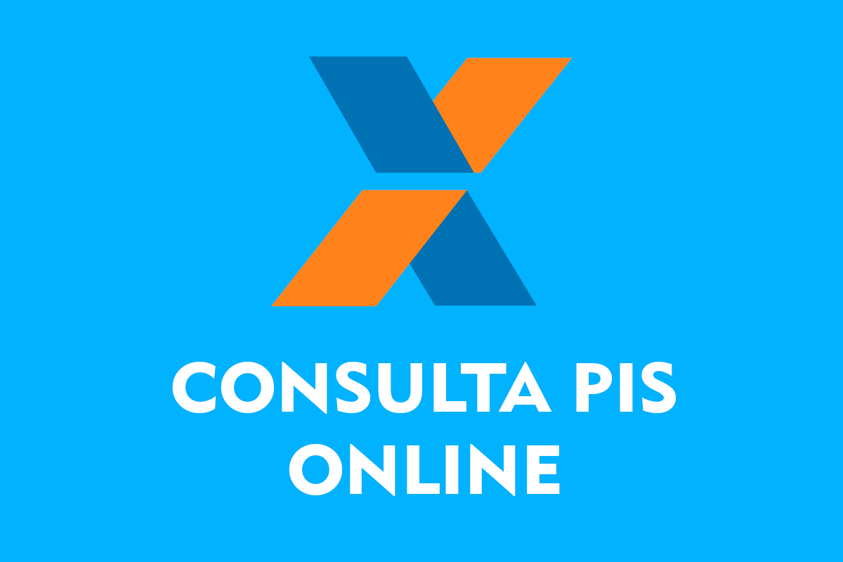 Consultar PIS Pela Internet