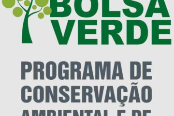Bolsa Verde 2025